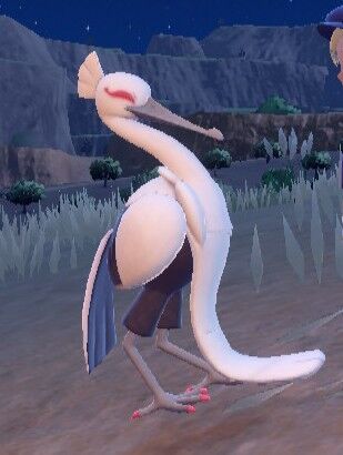 no title