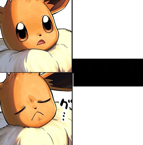 fu4297970
