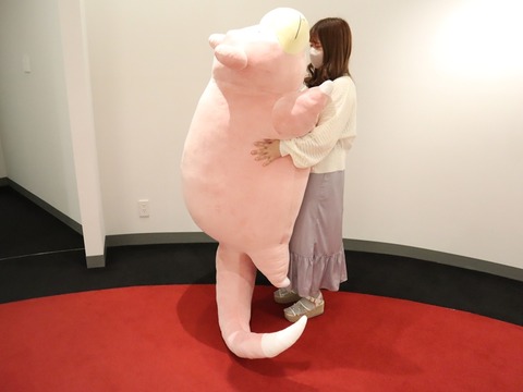 a22553d1566593a75d939013ca6252f90abb70d8